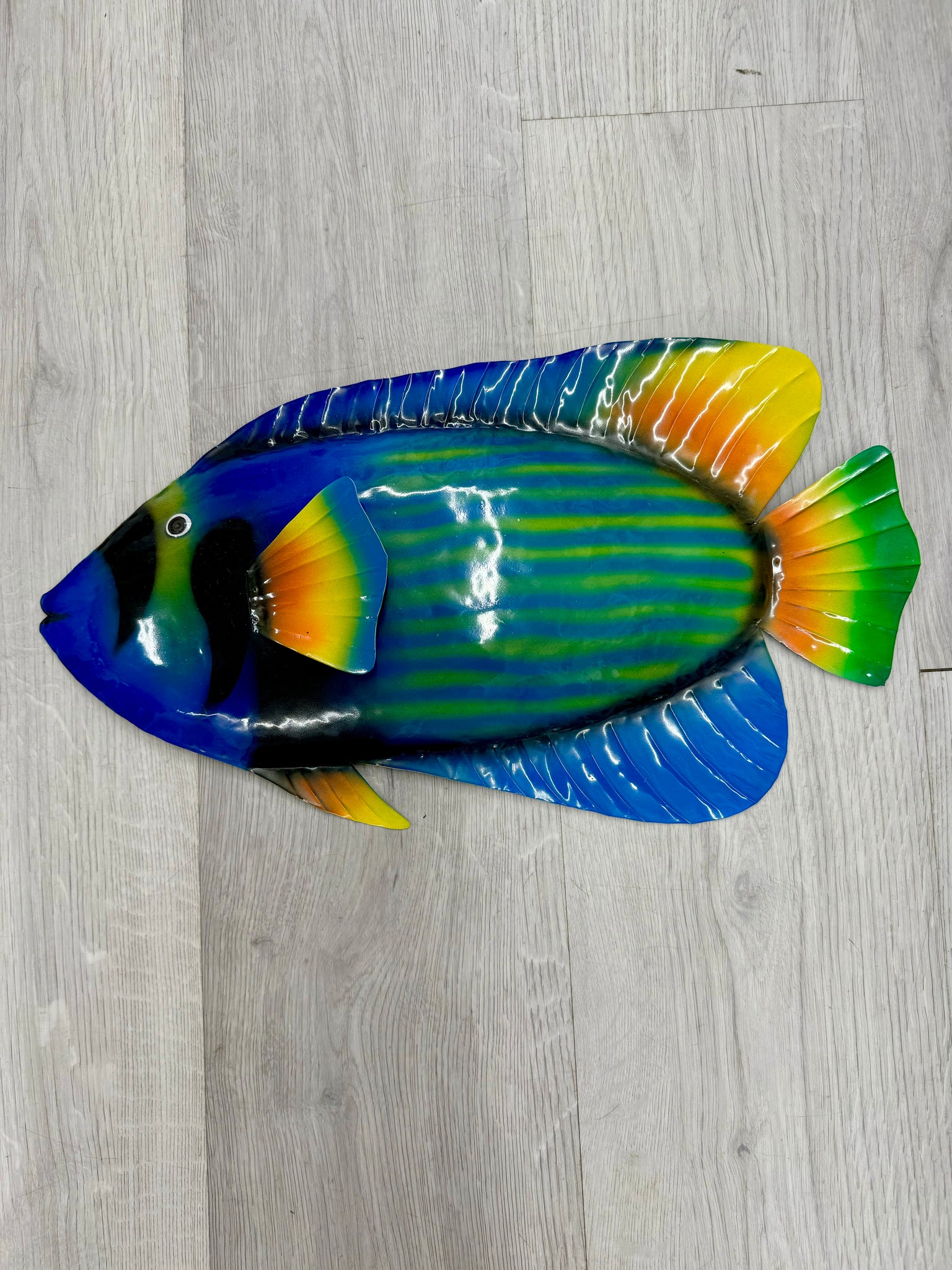 Colourful Blue/Green Striped Fish with Orange/Yellow 45cm - LOW STOCK